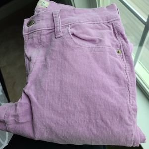 purple corduroy jeans pants